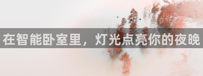 云顶集团 中国排名第几