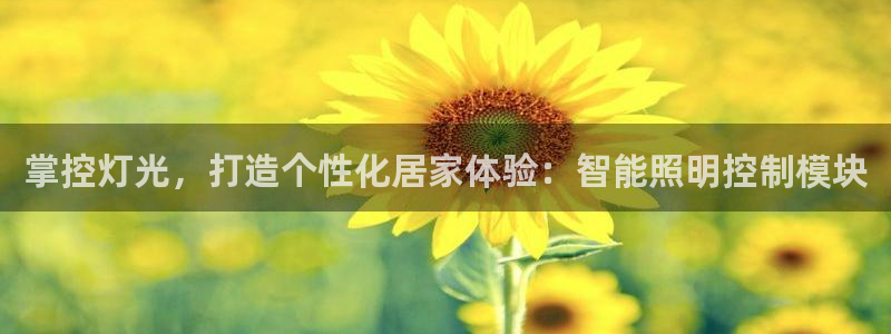 云顶国际是个什么网站