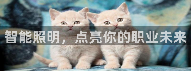 云顶集团网投