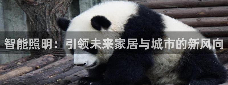 云顶国际老板是谁呀