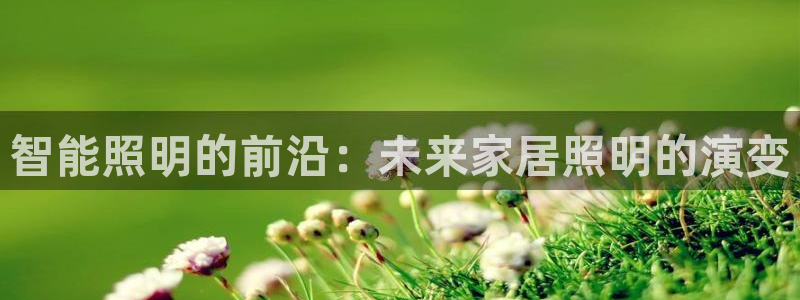 云顶国际服