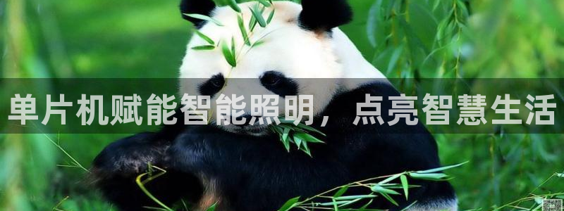 云顶国际百姓渔村怎么样