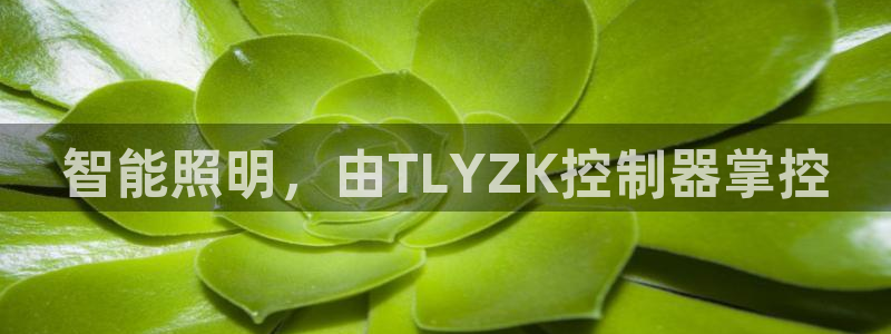 云顶国际KTV会所