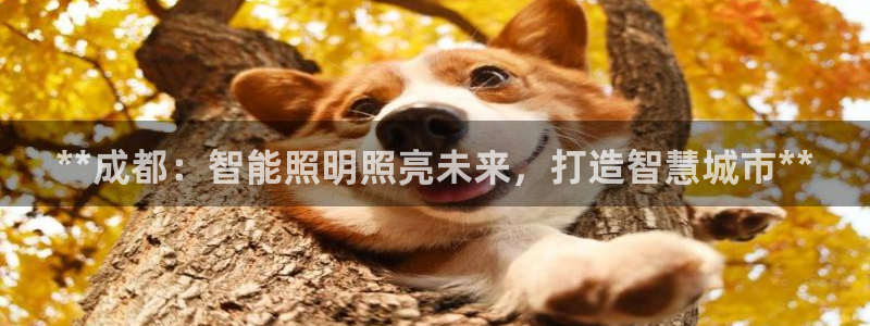 云顶国际酒店位置