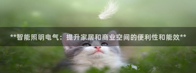 云顶国际集团app