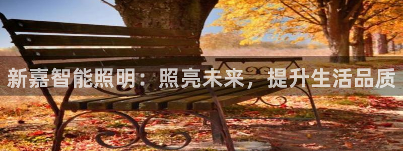 云顶国际俱乐部是干嘛的