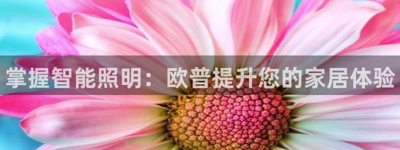 云顶国际商业广场 可以停车吗