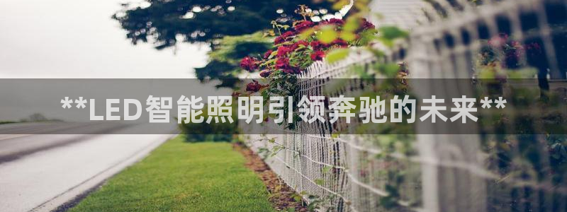 云顶国际服怎么登陆