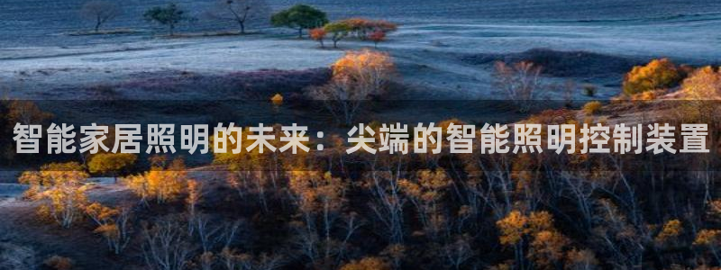 9559云顶国际