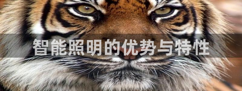 云顶国际下载地址