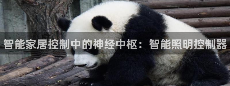 云顶国际酒店几星