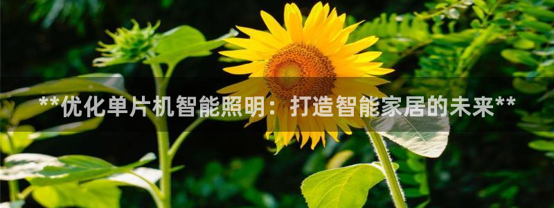 云顶国际老板是谁呀