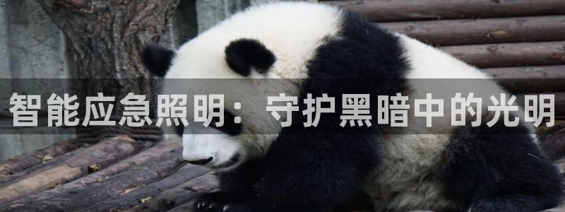 云顶集团专属APP