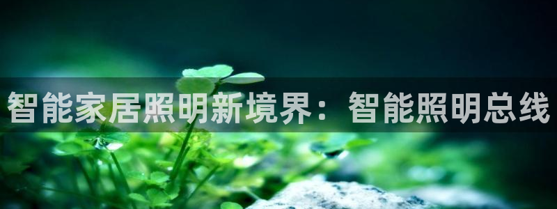 云顶集团游戏app8800