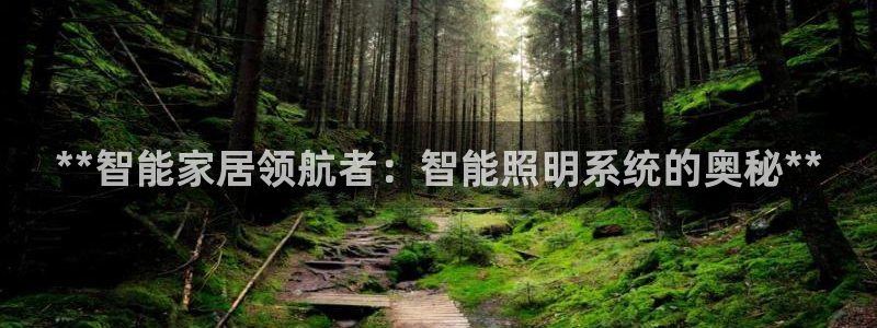 云顶集团市值