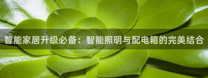 云顶国际4008服务平台