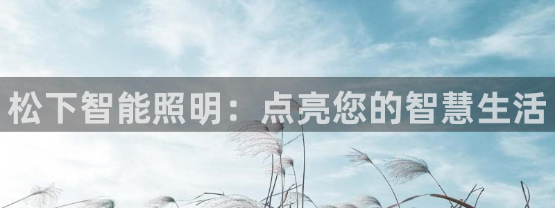 云顶控股集团有限公司