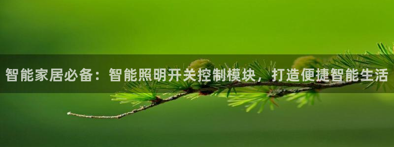 云顶国际部HKDSE
