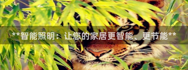云顶国际服什么时候更新s108