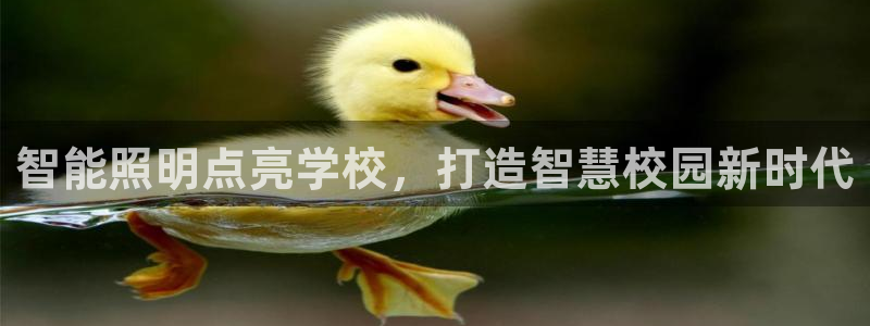 云顶国际集团