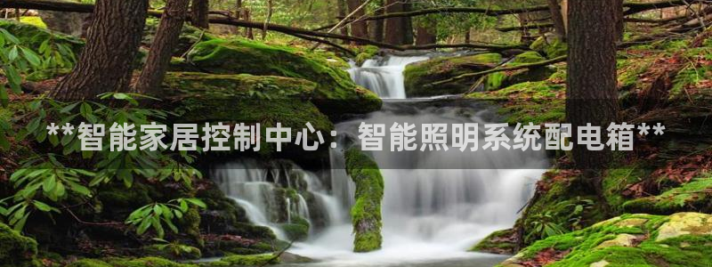 云顶国际服名字