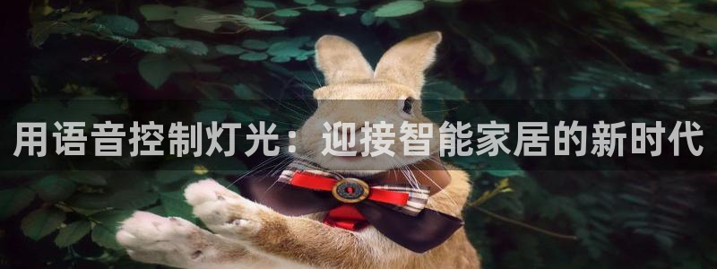 云顶集团游戏入口