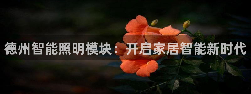 云顶国际软装公司怎么样知乎