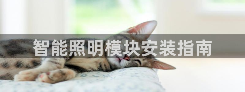 云顶国际服什么时候更新s10