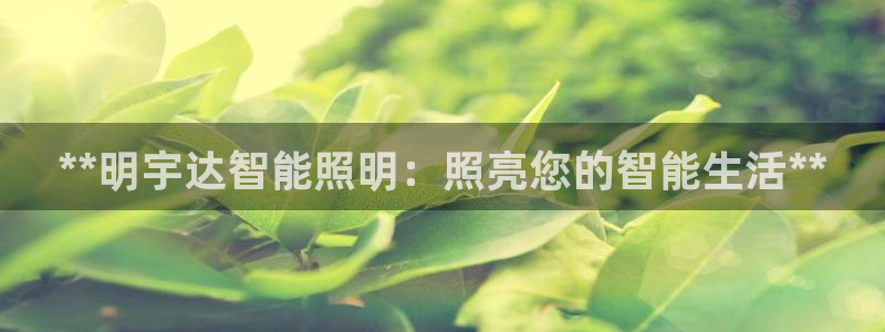 云顶国际怎么样