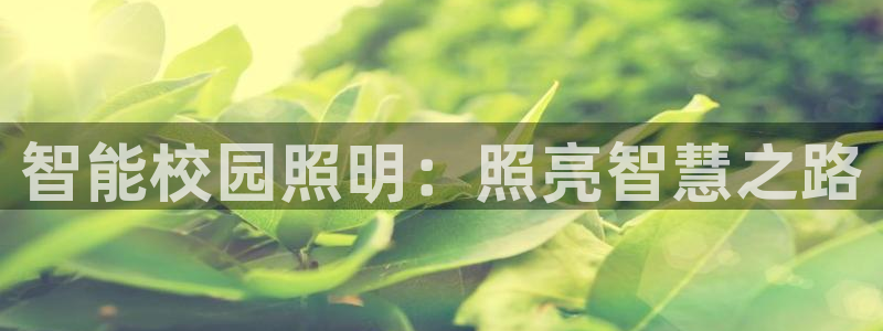 云顶最新套路2021