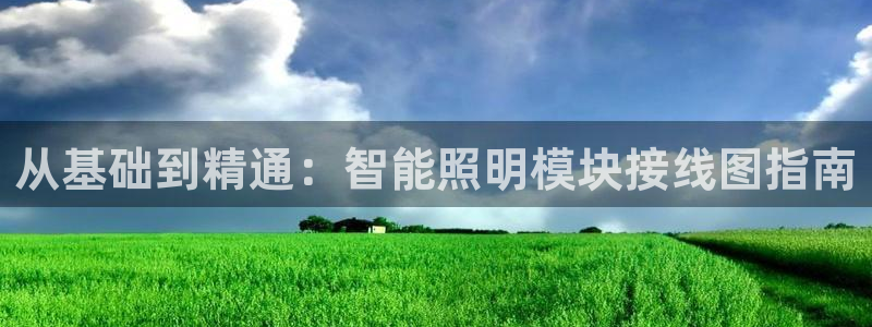 云顶国际服更新s11了吗