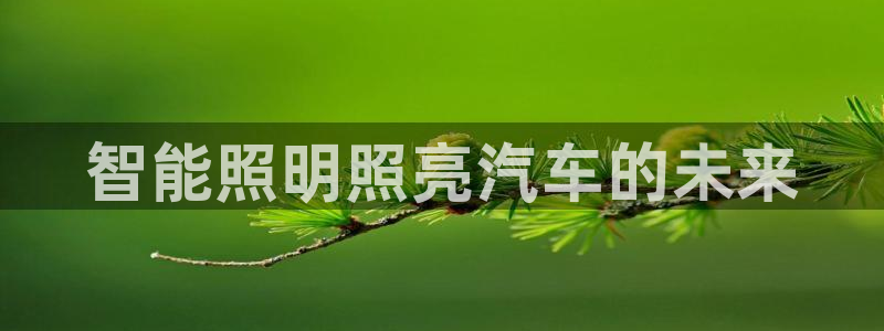 云顶国际官网