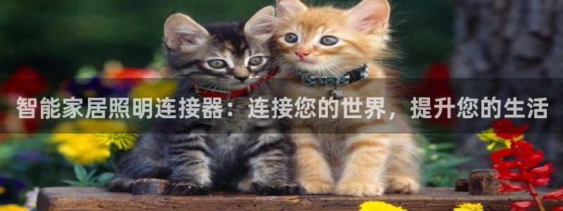 淮北云顶国际俱乐部电话