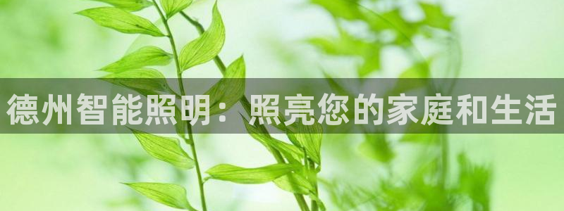 云顶国际官方网站下载手游