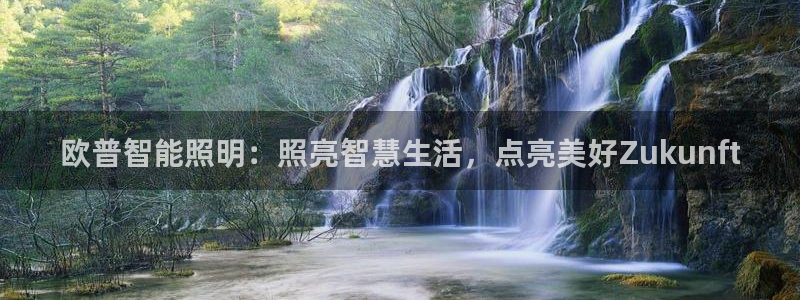 云顶国际集团io