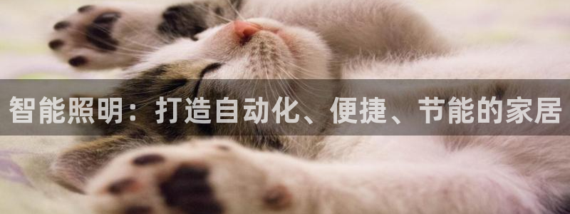 云顶电竞app