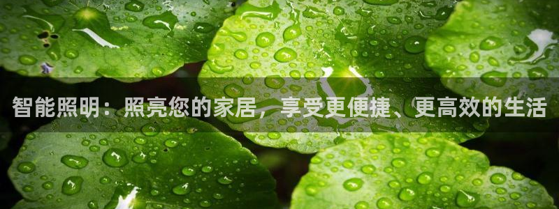 云顶集团官网电话