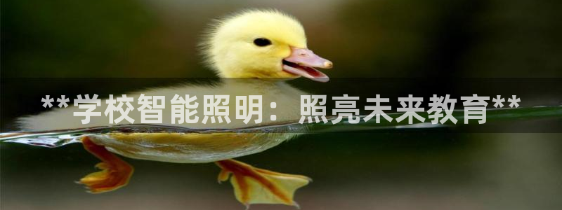 云顶国际部一年学费