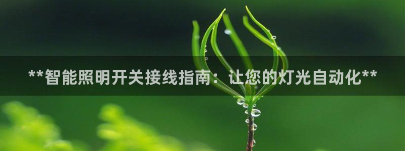 云顶国际服怎么更新