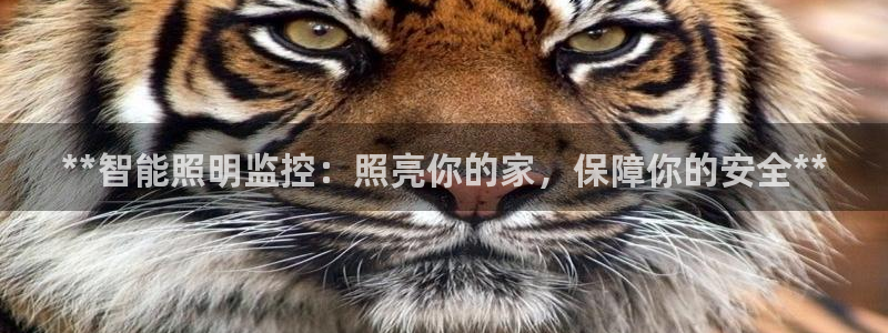 云顶集团网站多少钱一个