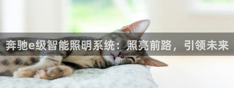 云顶国际足球app下载最新版