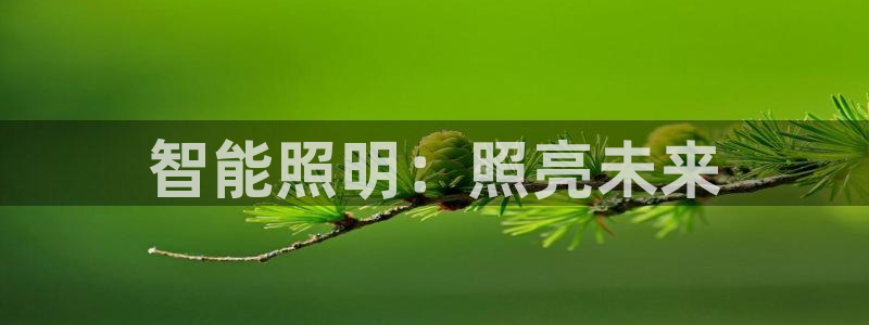 云顶国际会所