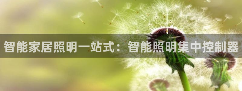 云顶国际物流电话