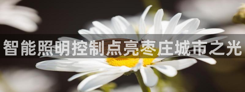 云顶国际高中学费多少钱一年