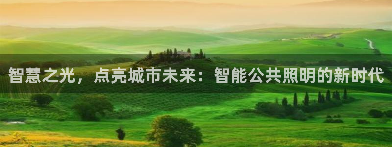 云顶国际AB网