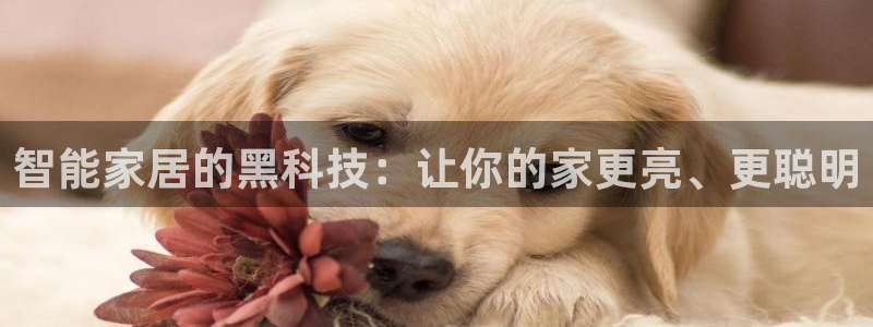 云顶最新公告