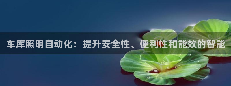 云顶国际高中d s e班学费多少