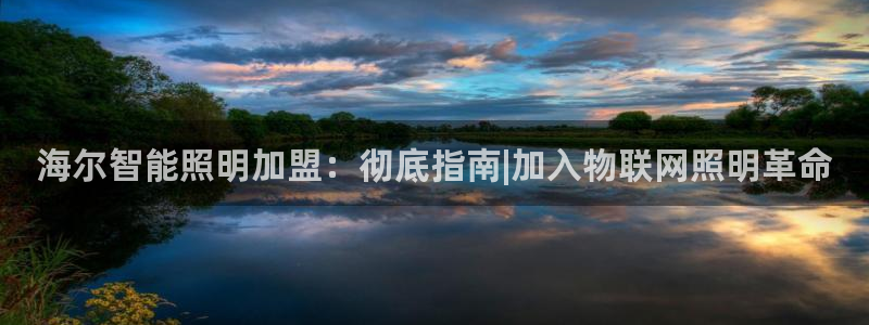 云顶国际服在哪下载