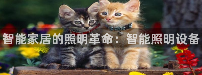 云顶国际app下载安卓