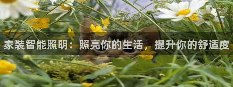 云顶yy